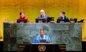 Vice President Kashim Shettima at the United Nations