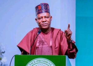 Vice President Kashim Shettima