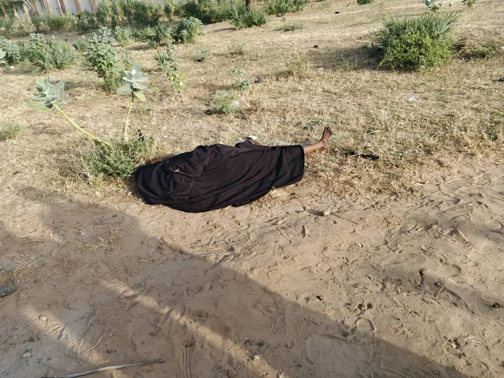 Police Probe Death of Woman Found Near Federal University Gashua